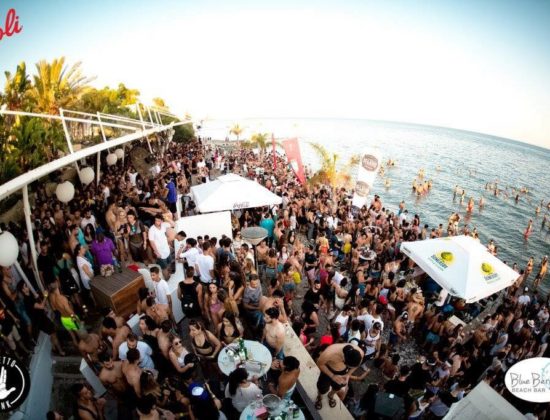 Blueberry Beach Bar
